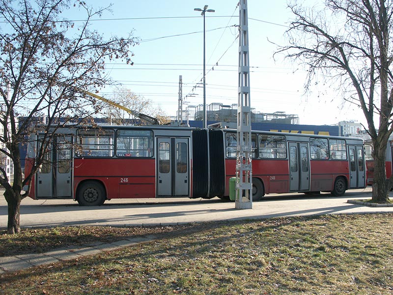 Венгрия (Magyarország): Будапешт (Budapest): XIV. kerület: Örs Vezér tere: троллейбус-Икарус на конечной остановке; 09:49 08.01.2006
