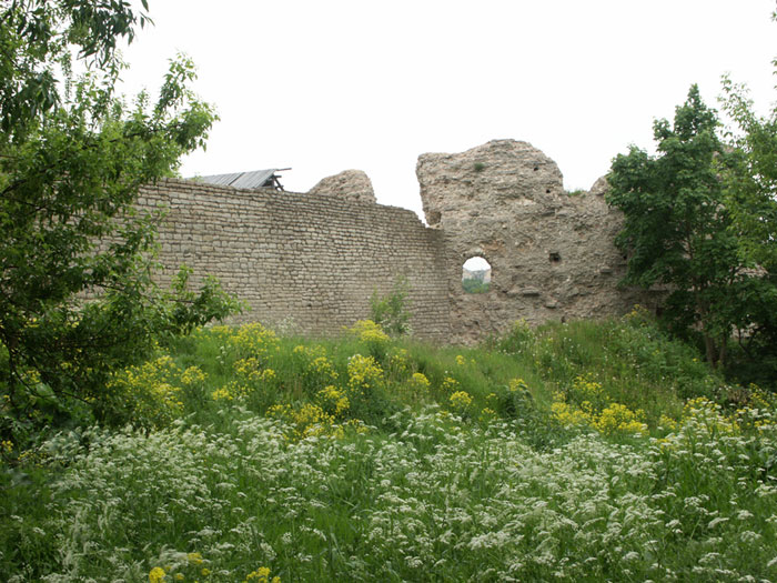 Псков: Запсковье: б.Варлаамская и стена, север; 14.06.2004