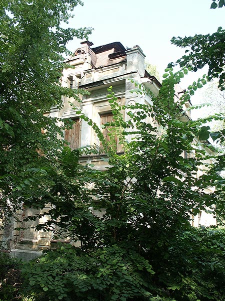 Ростов Великий: дом Селиванова, ю-з; 04.08.2003