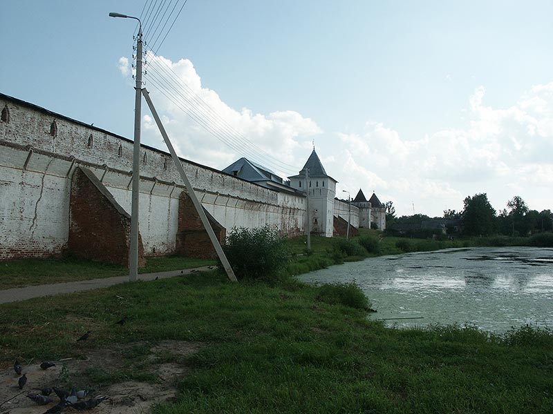 Борисоглеб: Борисоглебский м-рь: западная стена, с-з; 05.08.2003