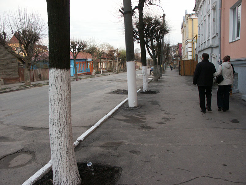 Рязань: обработанные столбы на ул.Щедрина; 02.05.2005