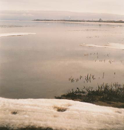 Кронштадт: дамба, вдалеке - лебеди; 25.03.2000