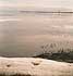 Кронштадт: дамба, вдалеке - лебеди, 25.03.2000