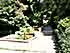 Украина (Украïна): Крым (Крим): Никита: Никитский ботанический сад: каскад бассейнов; 11:53 05.09.2005